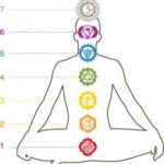 The Chakras – Overview